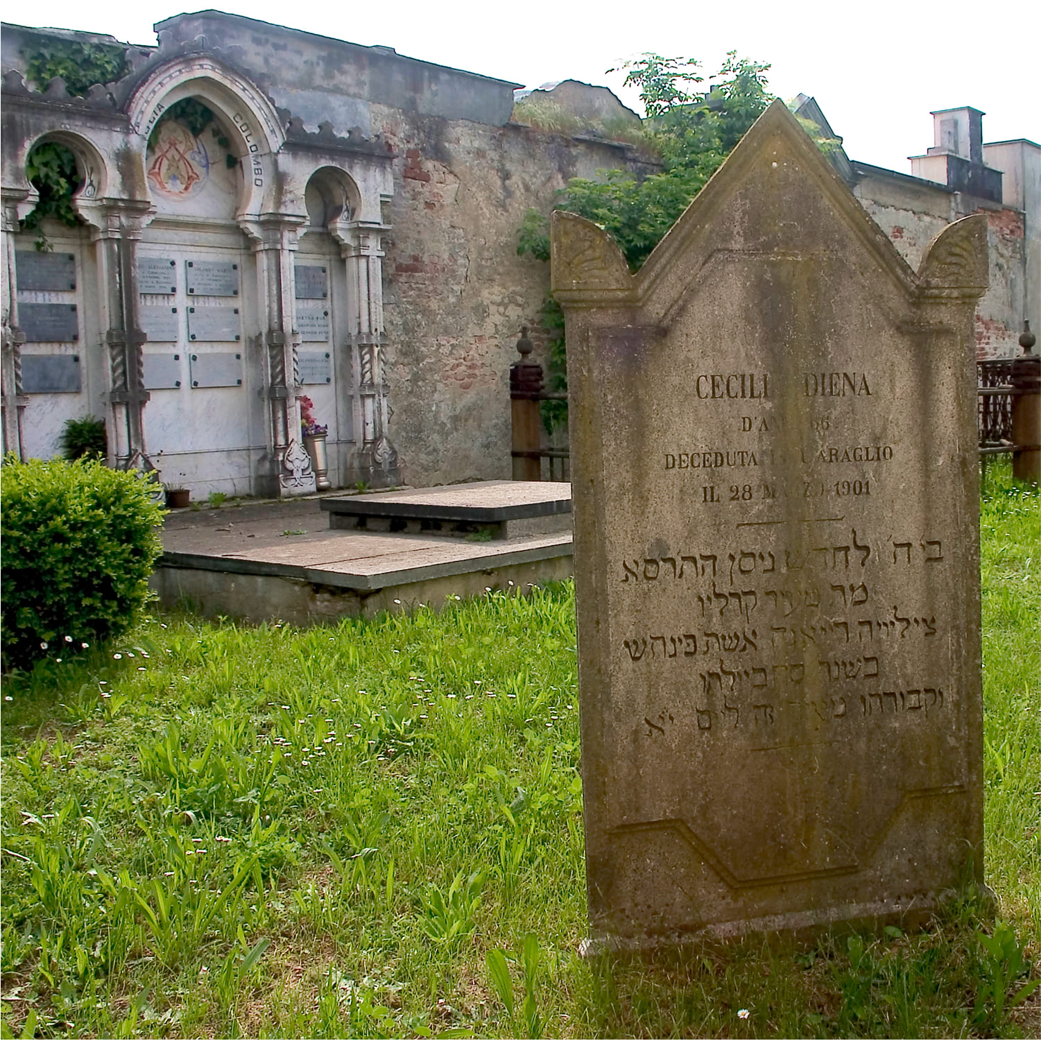Carmagnola-cimitero-01 Dettaglio delle lapidi ebraiche presenti nel cimitero di Carmagnola