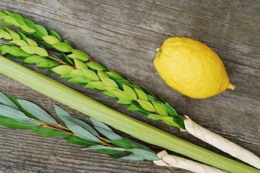sukkot